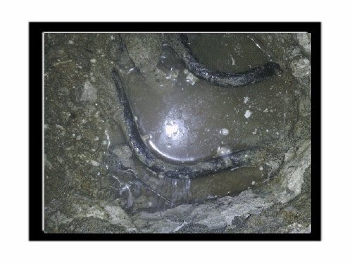 new_2012-06-21 15.43.35.gif